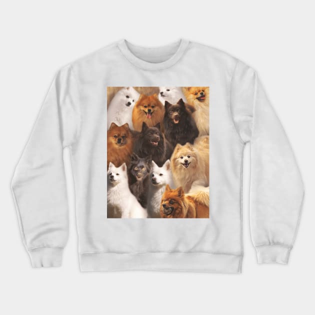 Spitz Crewneck Sweatshirt by MaxencePierrard